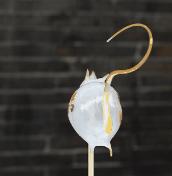 甜粽？咸粽？不纠结，去锦里看吹糖人呀