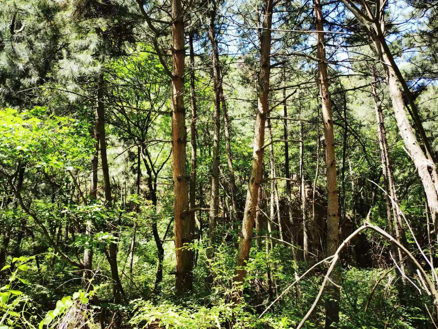 打卡北京双龙峡风景区,十里溪流百潭瀑布,北方小九寨名不虚传