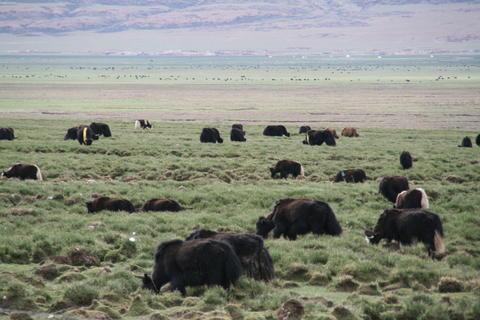 1200gs摩旅进藏,摩旅进藏路上的故事
