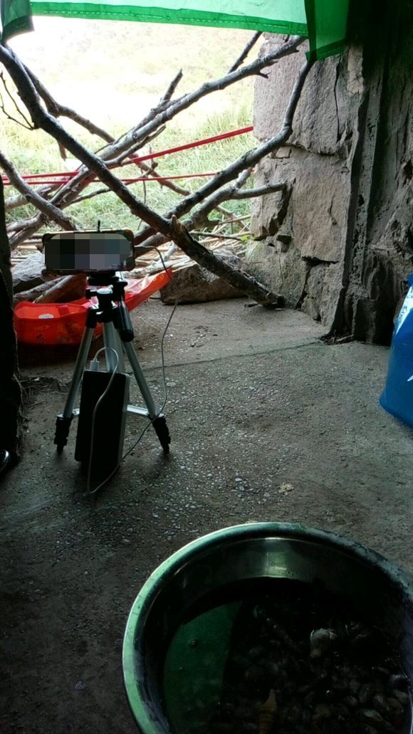 娴峰矝鏈ㄧ瓘婕傛祦,娴峰矝閽撻奔鎺㈤櫓