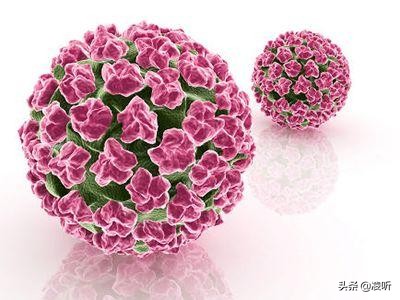 「科普」备受关注的:使用男用避孕套可以预防HPV感染吗?