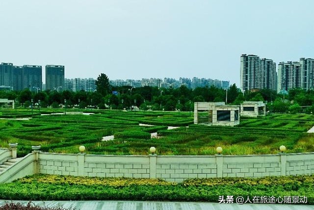 南京面积最大的公园，美不胜收却被游客忽略