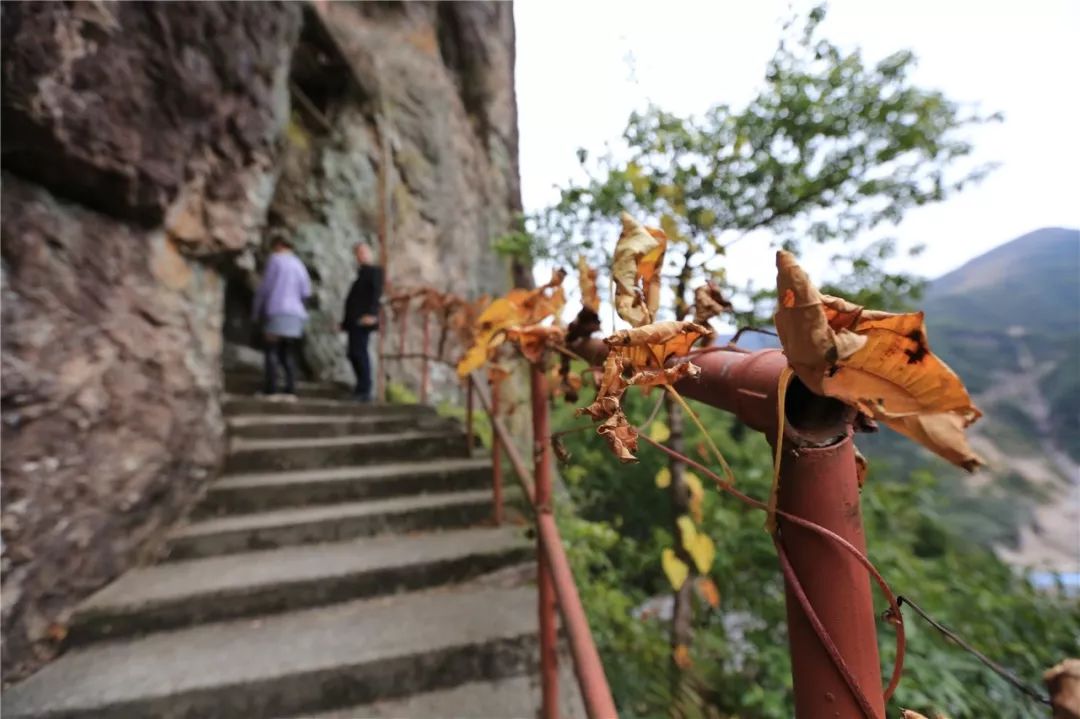 惊艳的一处桃源,乐清秘境原始森林