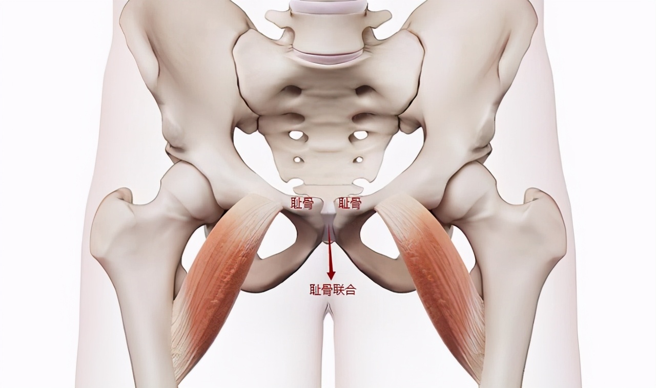 怀孕7个月耻骨痛做哪些运动缓解,怀孕早期耻骨痛腰疼平躺能缓解吗