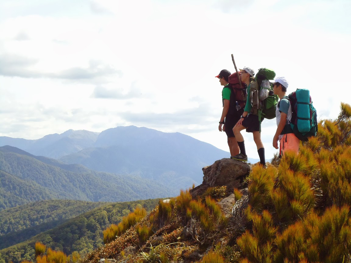 新西兰投资移民签证办理流程,新西兰投资移民5000万能拿回来吗