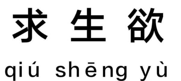 被央视芒果打码成“失格艺人”,曾说出不雅言论的她要凉了?