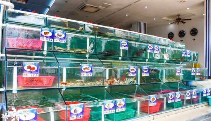 中山冷门小本生意创业项目,最赚钱冷门的行业小本生意