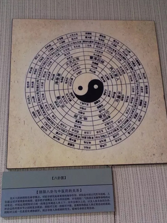 亳州华祖庵和华佗百草园,中医华佗之乡亳州