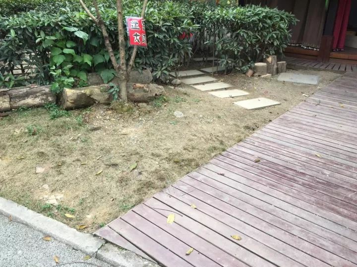 4.13重庆逐梦歌乐山上的“巴学园”探索“世界级乡村幼儿园