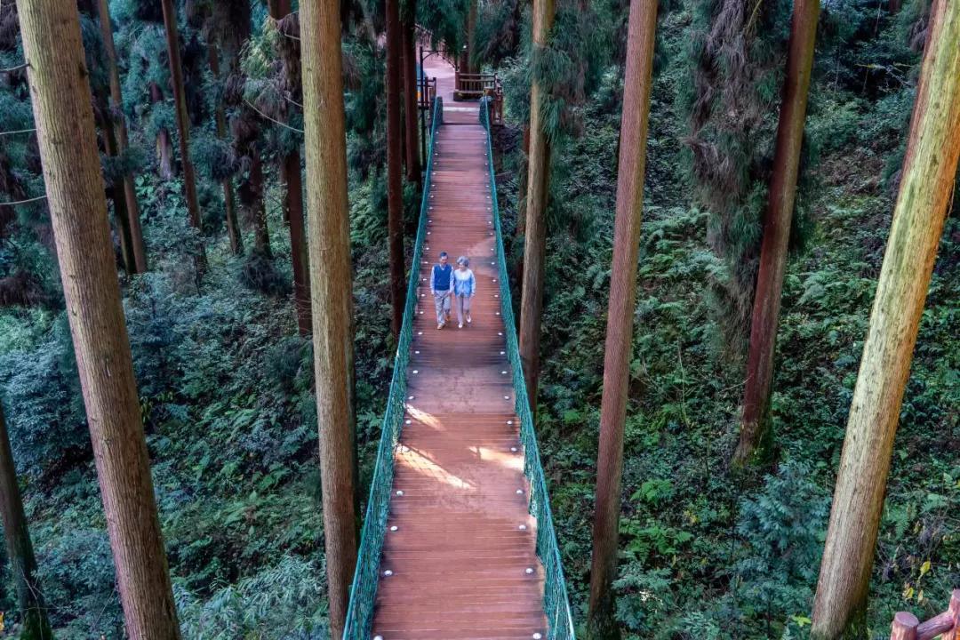 生活与态度,生活态度与健康