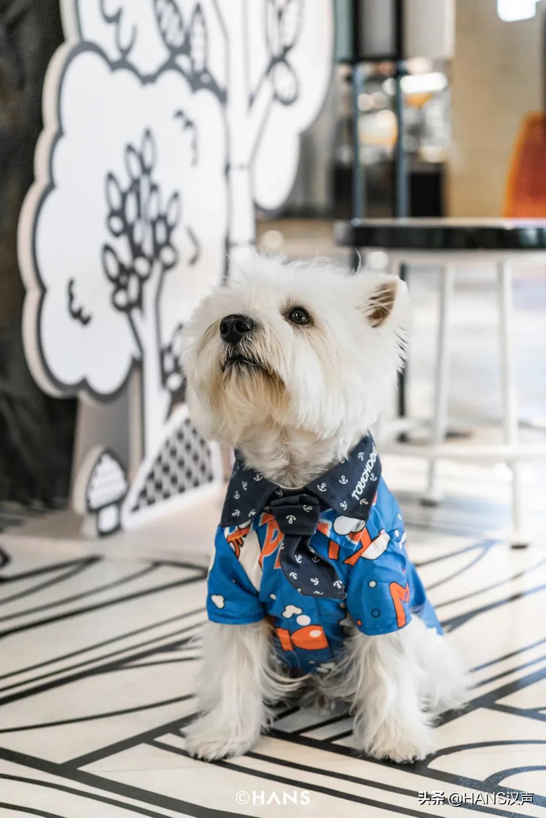 双十一不吃土的图片,双十一不吃土了吗