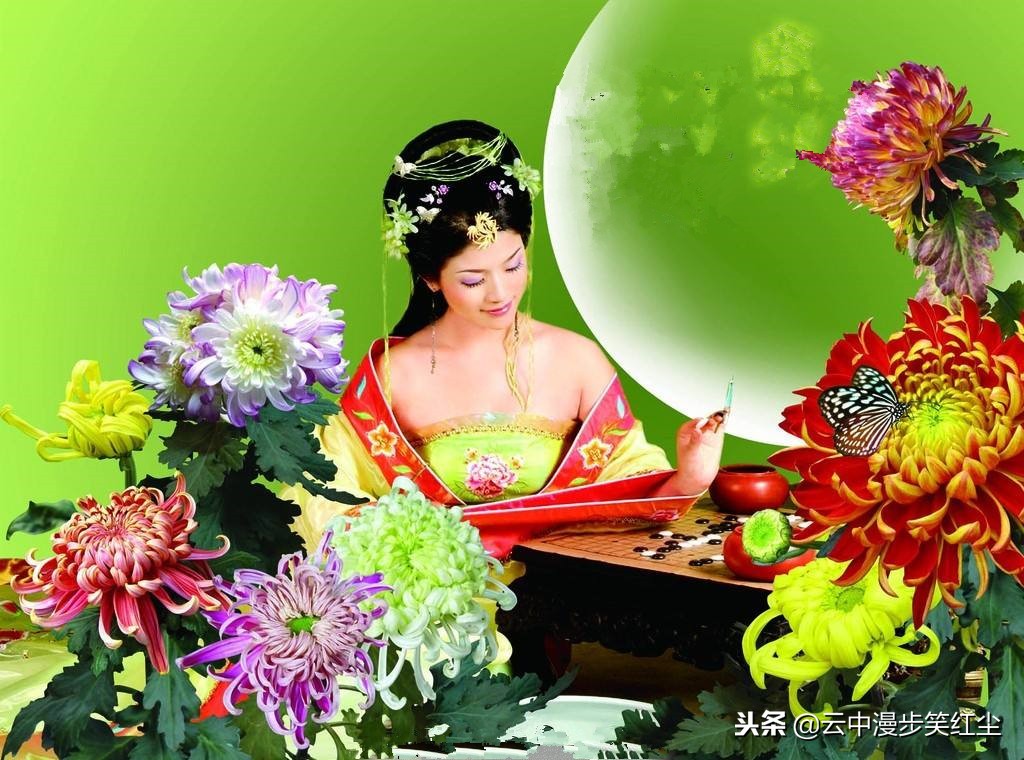 咏菊花的古诗词名句大全,菊花代表思念的诗句