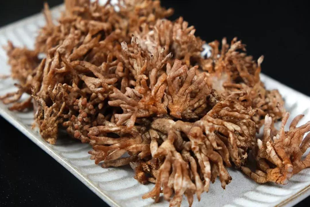 佛山盐步美食粤菜,南海盐步海鲜酒楼