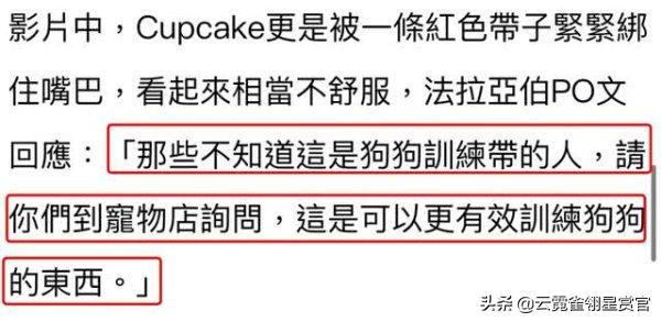 美国28岁女子被自家宠物狗咬死,美国23岁女孩遭虐待