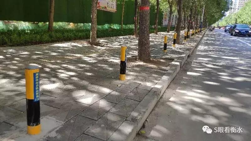 丰雄商高铁商丘段何时开工,丰雄商高铁招标官方最新消息