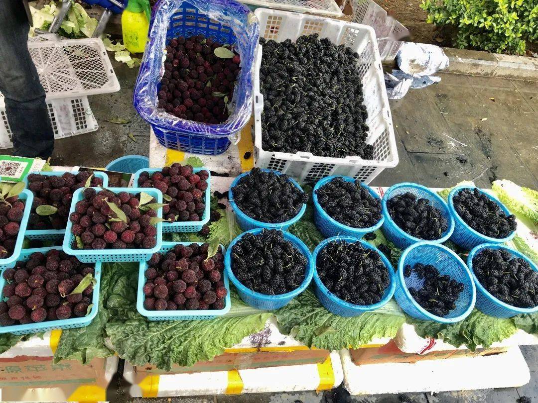 云南带毒的美食,云南带菌的美食