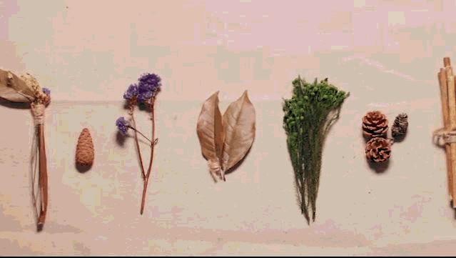 她31岁放弃北漂,回归自然,用枯枝败叶,打造了一个梦幻森林