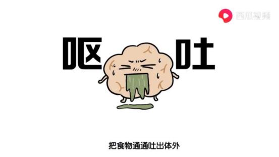 晕车的人有多难？怎么克服晕车症，是吃东西呢还是空肚子？