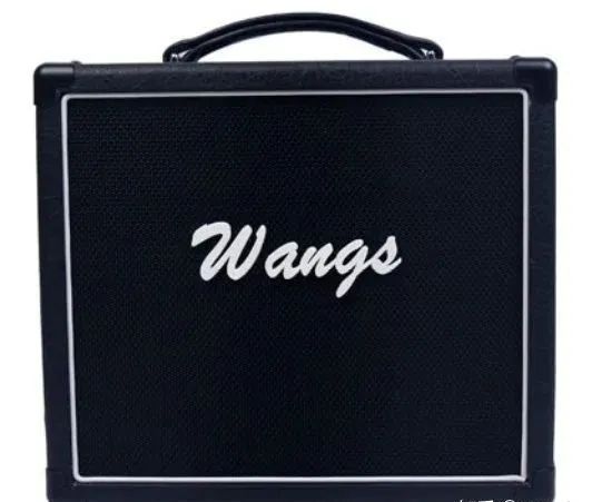 个人家用电吉他音箱多大瓦数的好,5000左右电吉他电子管音箱推荐