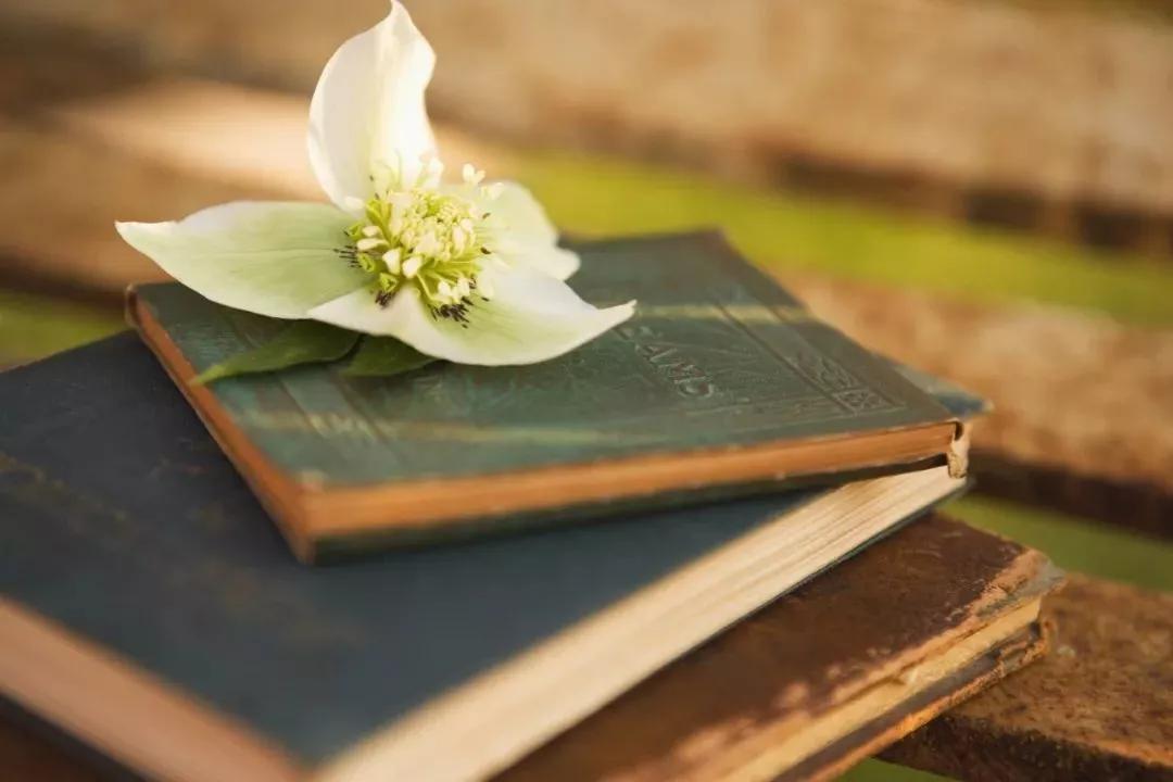世界读书日读些什么书最简单,世界读书日在书中邂逅更好的自己