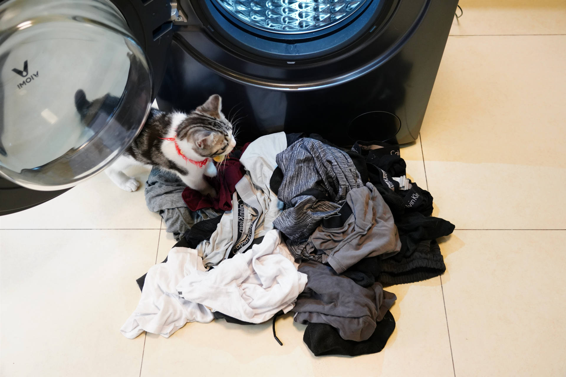 云米洗烘一体机master2s,云米m2洗烘一体机