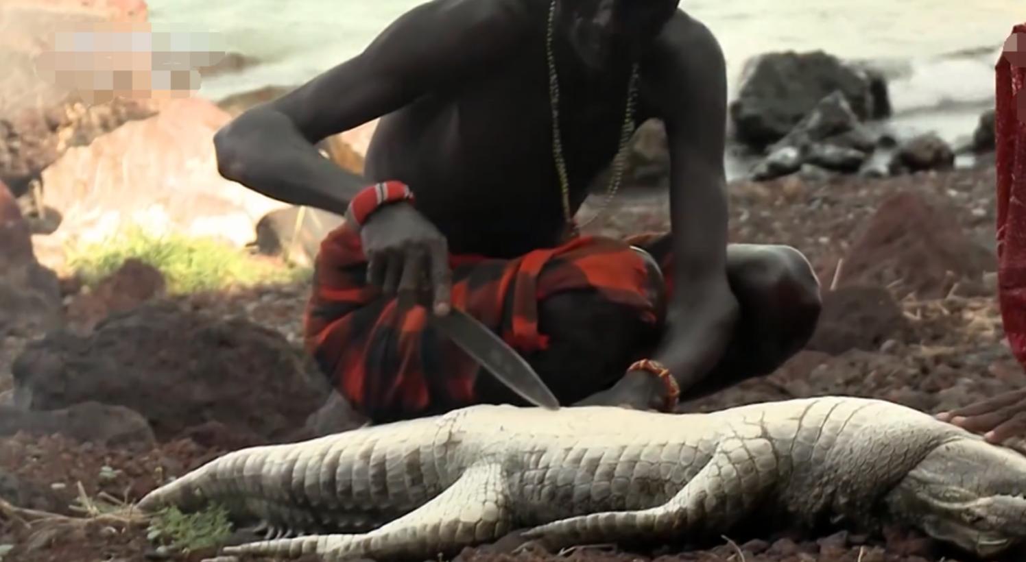 非洲埃尔莫洛部落：每天顿顿都吃鱼，没鱼时就捕杀鳄鱼充饥