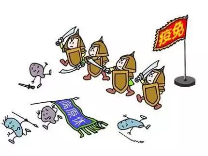 提升免疫力，你发力真的正确吗？