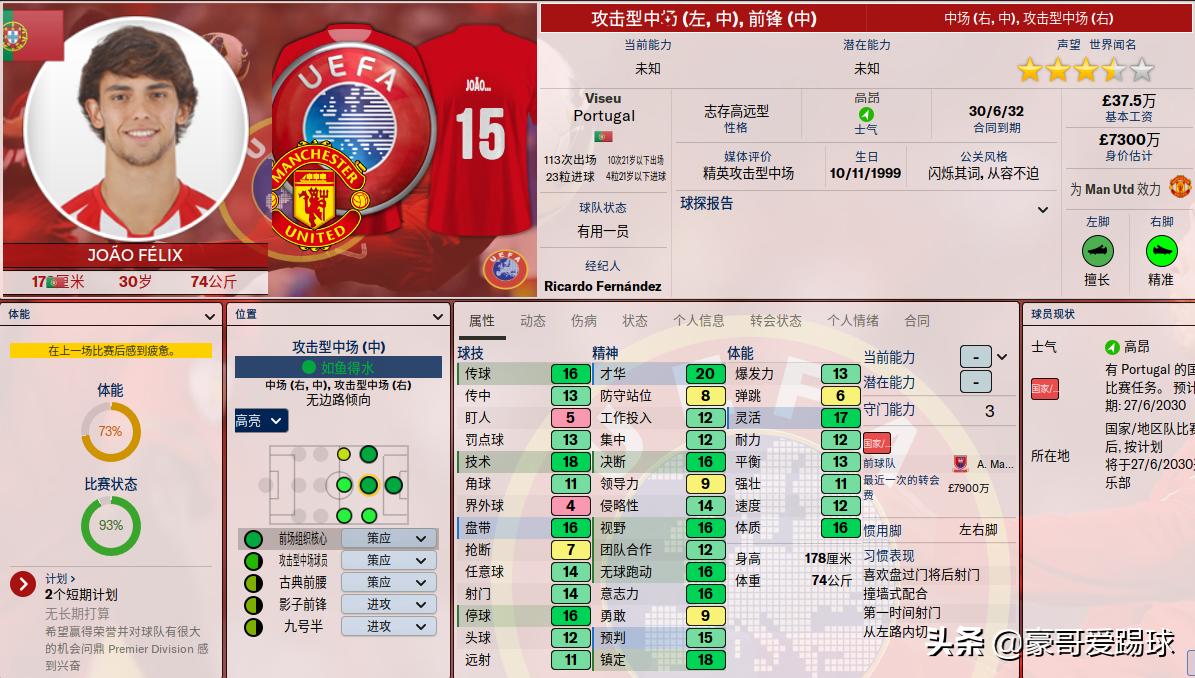 fm2020足球经理中文版,fm2023足球经理欧冠