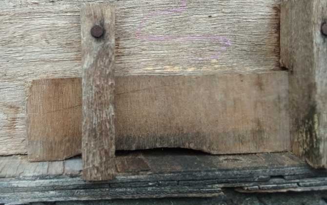 蜜蜂病害与敌害防治大全