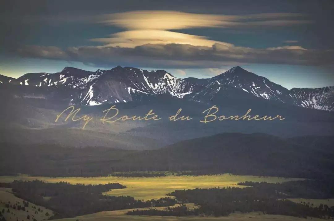 罗莱夏朵简介,罗莱夏朵西班牙