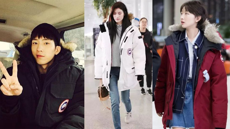 始祖鸟为什么没有羽绒服,没有北面的冬天