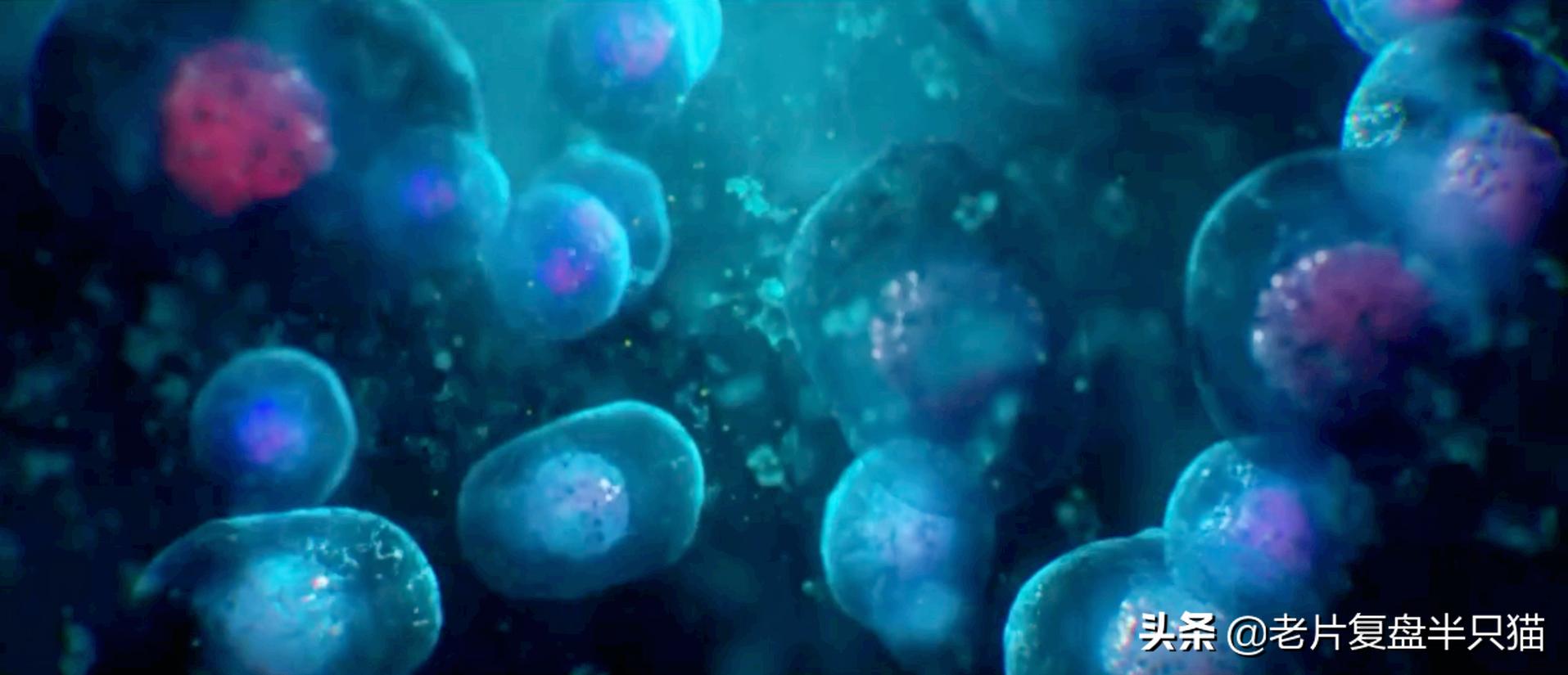 超体跟寡姐有关系吗,超体是寡姐演的吗