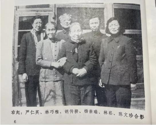 世界手卫生日丨杨崇瑞——中国的赛麦尔维斯