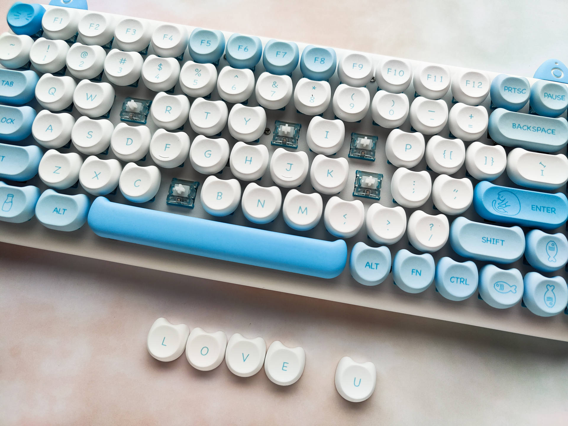 给领导迟到的礼物——IQUNIXM80萌萌波斯简单晒