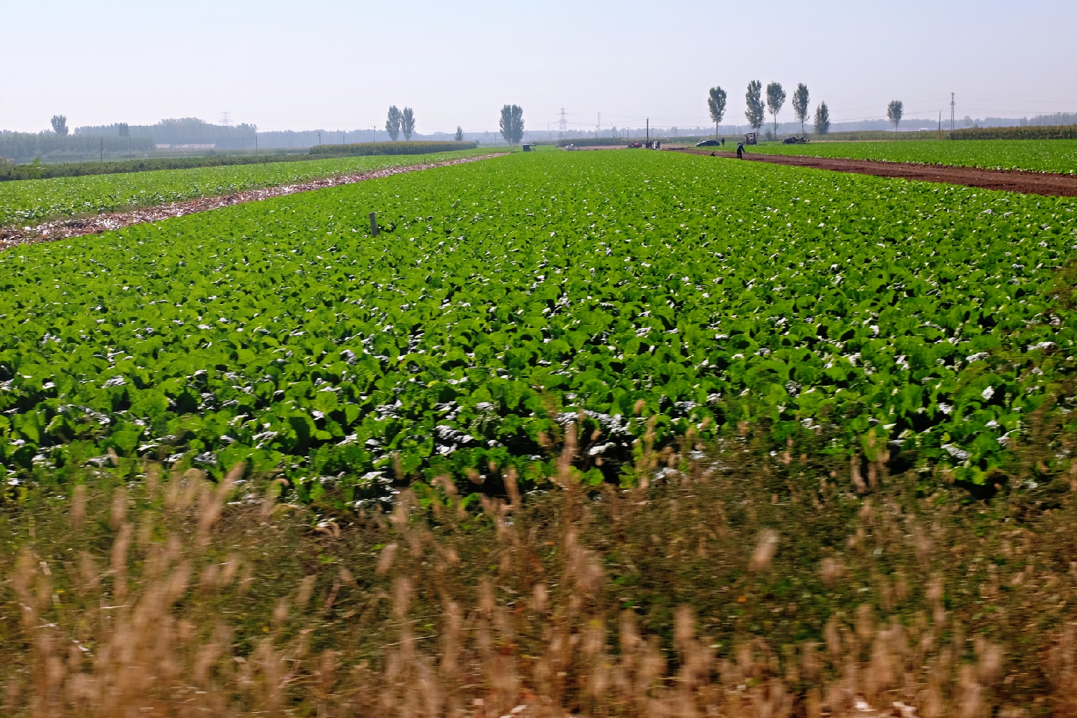 玉田净觉寺景点,唐山净觉寺三大奇观
