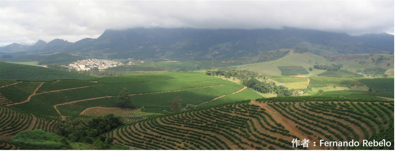 30年后可能吃不到巧克力,三十年后吃不到巧克力了