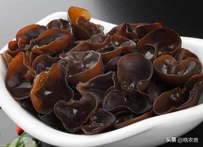 白木耳产地哪里最出名最好吃,白木耳最好的产地