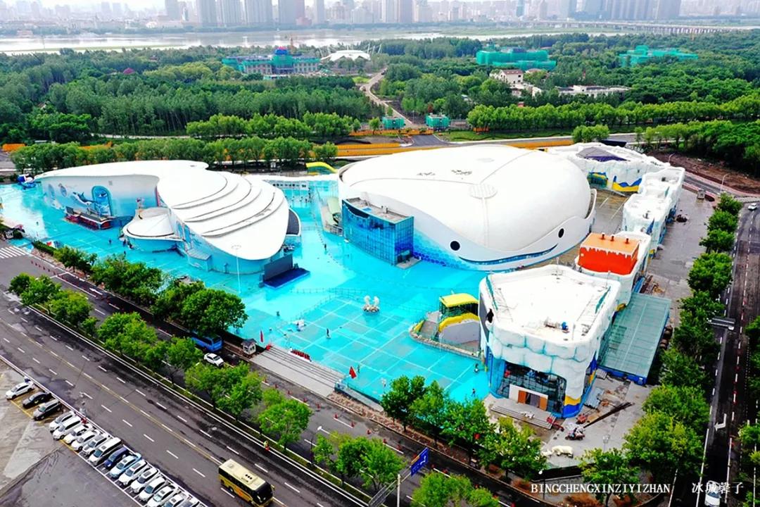 走进哈尔滨完整视频,走进哈尔滨海洋馆