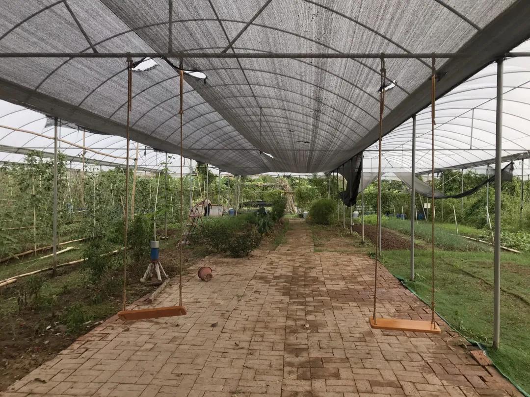 广东十大亲子农场,陈村亲子农场推荐