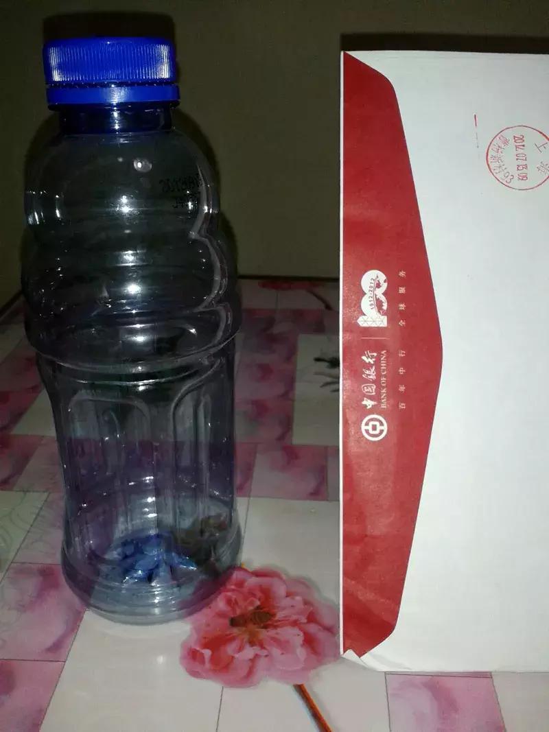 绿萝专用自吸花盆,绿萝吊兰怎么养才能长满花盆