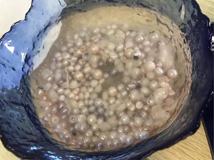 12毫米的淡水珍珠多少钱一颗,疯狂的黑珍珠