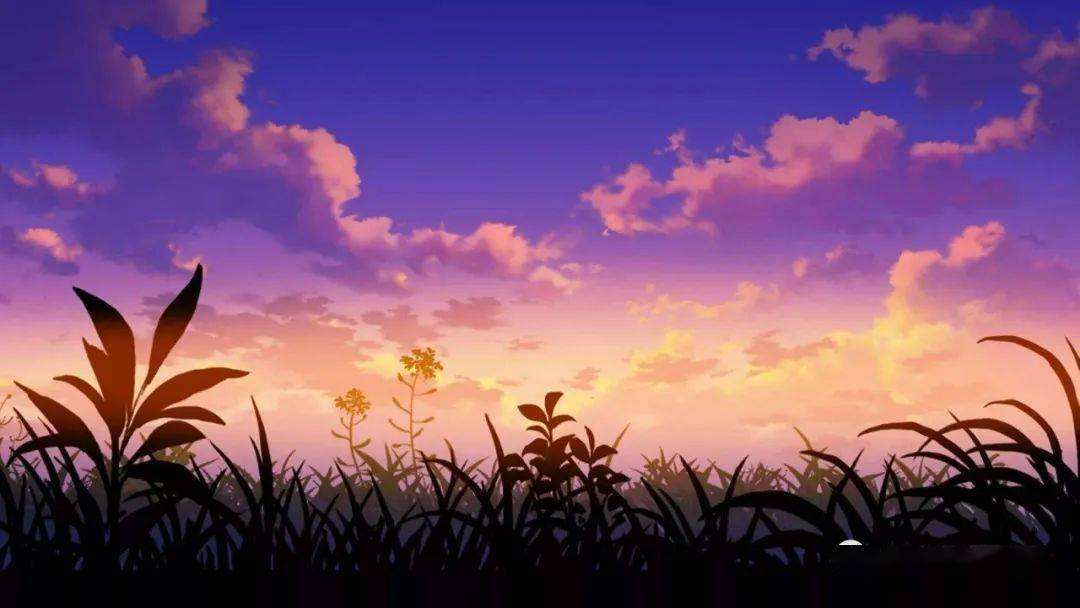 学校处分学生应遵循的程序,对学生的处分决定格式