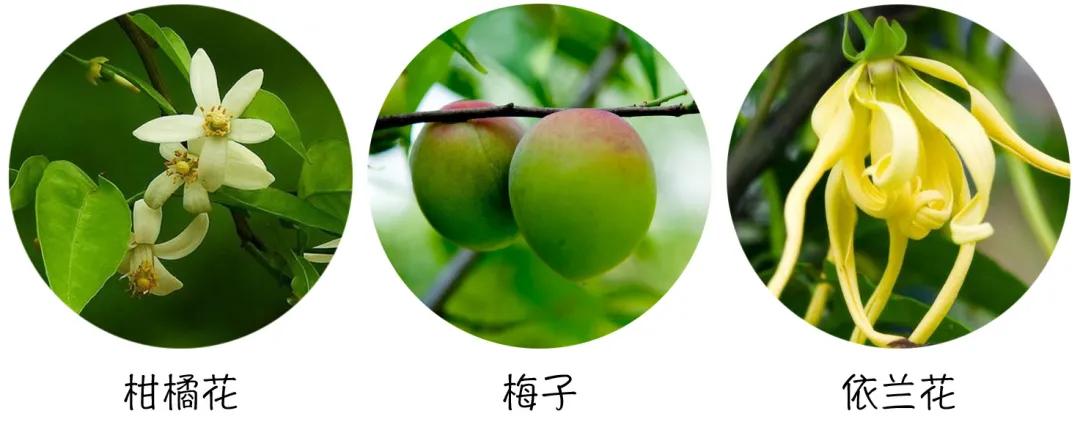 你沐浴后的味道，简直让人怦然心动