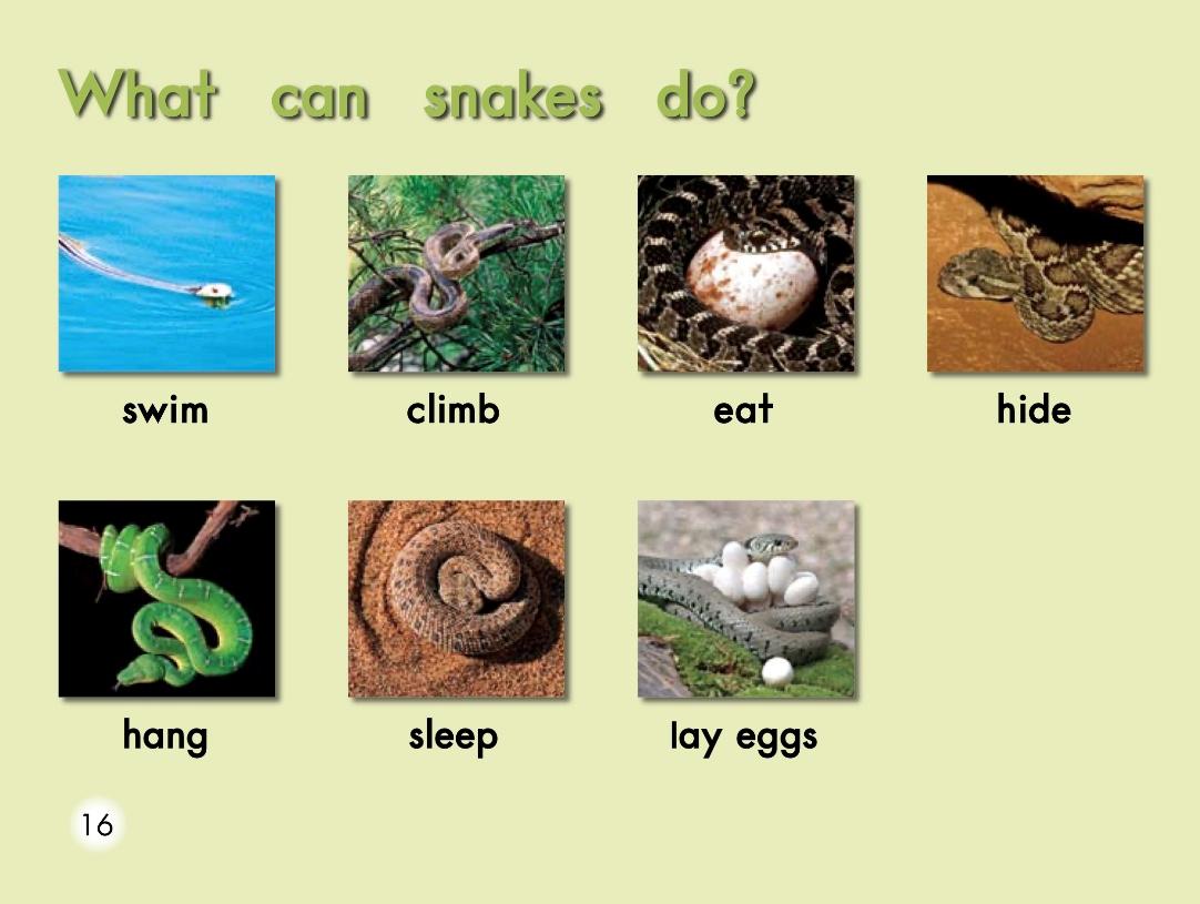 英语绘本故事小怪物,蝴蝶英语绘本阅读