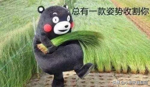 立木大叔最新视频,原神立木大叔