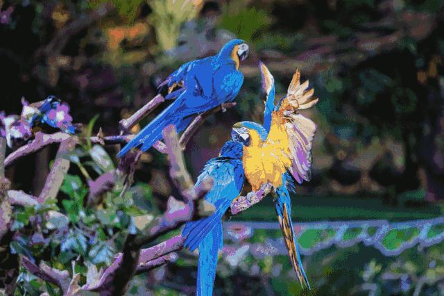 暑假掂过?种草广州长隆野生动物世界!零距离接触动物