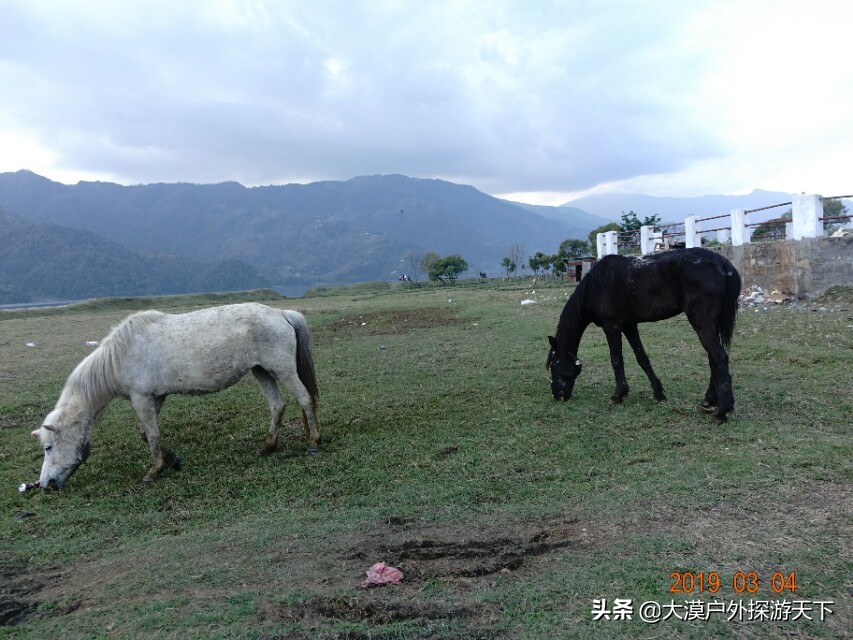费瓦湖博卡拉啤酒,尼泊尔啤酒博卡拉
