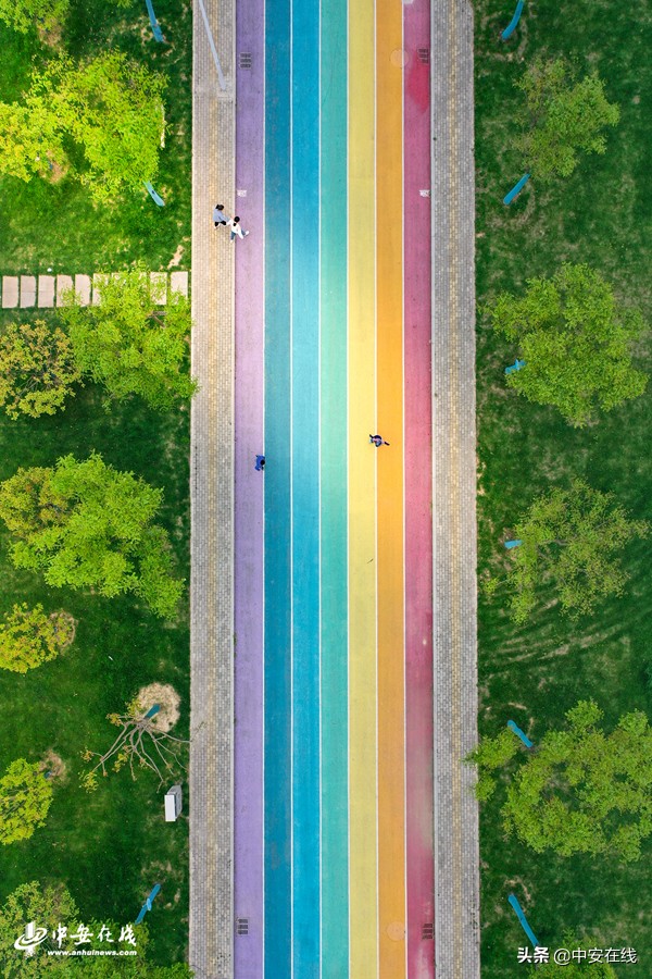 庐江最美乡村公路,泗县彩虹大道效果图