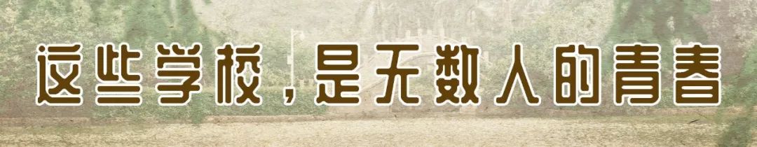 蛇口，传统与现代的并存