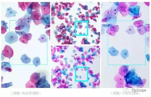 tipscope便携式手机显微镜,送给孩子的科学玩具